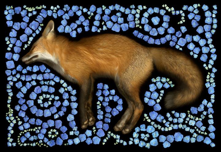 Miners-fox